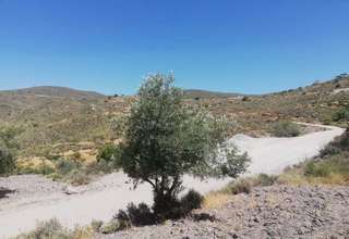 Grundstück/Finca zu verkaufen in Felix, Almería. 